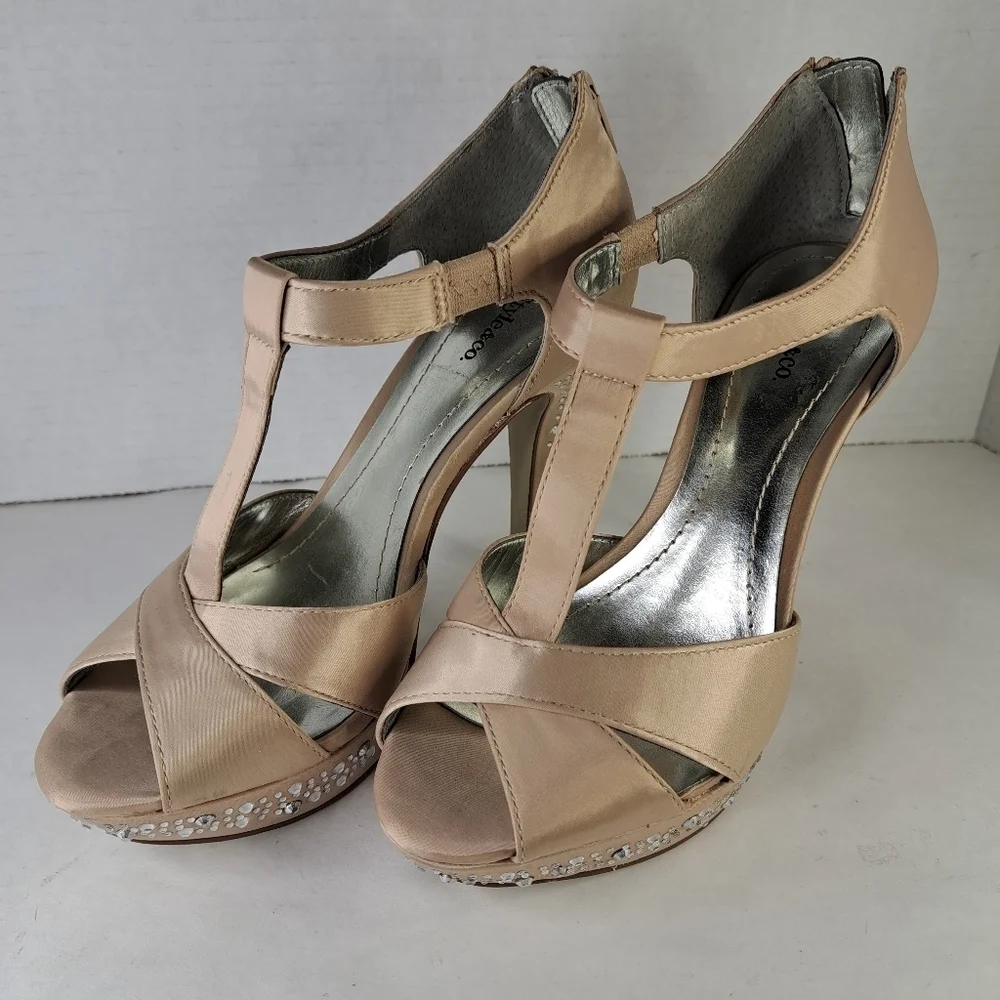 Style & Co. used but